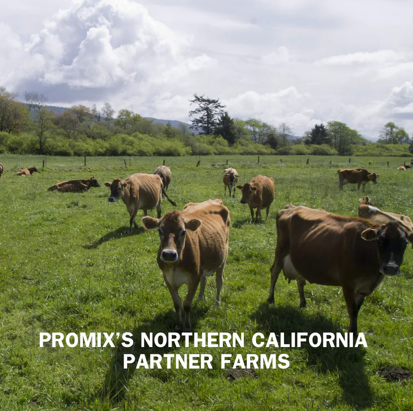 Promix Unflavored Whey Protein Powder - Image 14